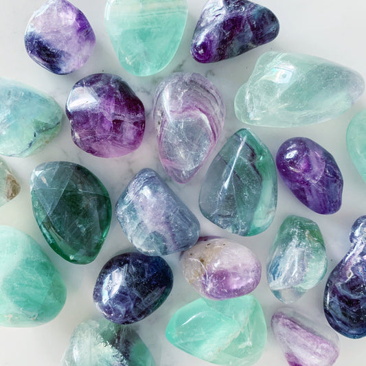 Fluorite: studybudy, and so much more