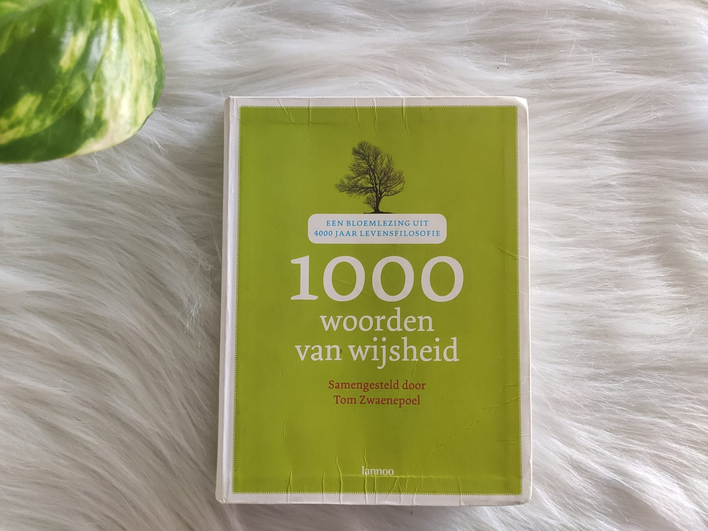 1000 Woorden Van Wijsheid