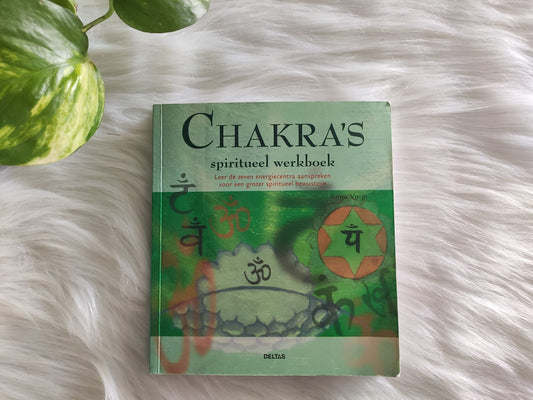 Chakra's: spiritueel werkboek