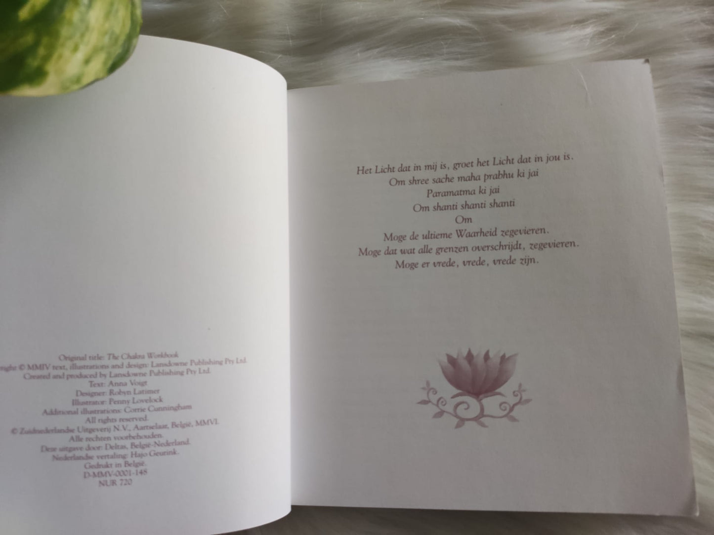 Chakra's: spiritueel werkboek