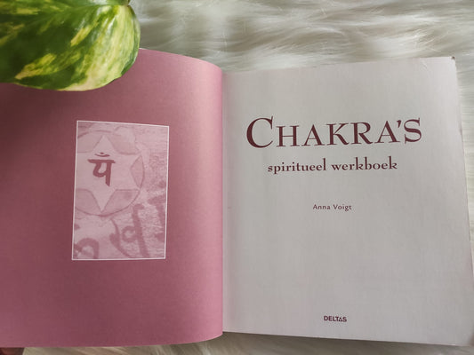 Chakra's: spiritueel werkboek