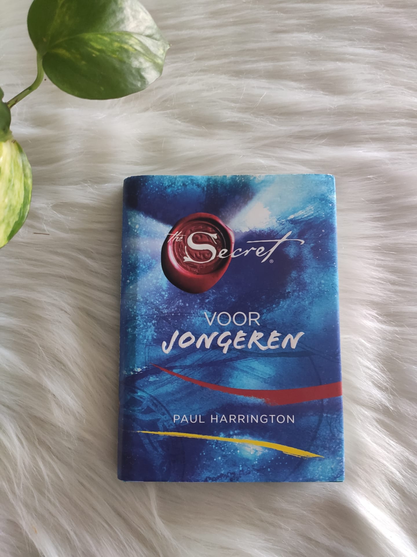 The secret: Voor Jongeren