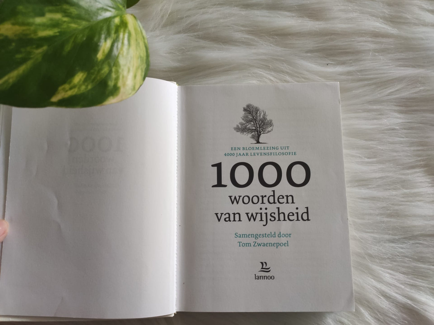 1000 Woorden Van Wijsheid